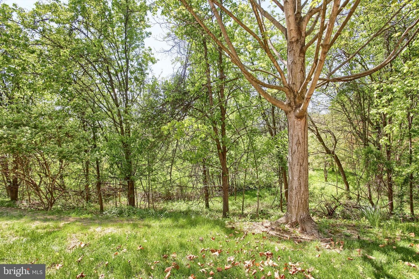 1213 Cherrington Drive photo 19