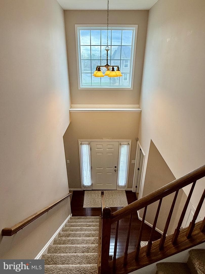 1813 Silverleaf Lane photo 37