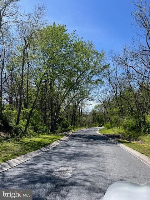 4 Meadow Run photo 32