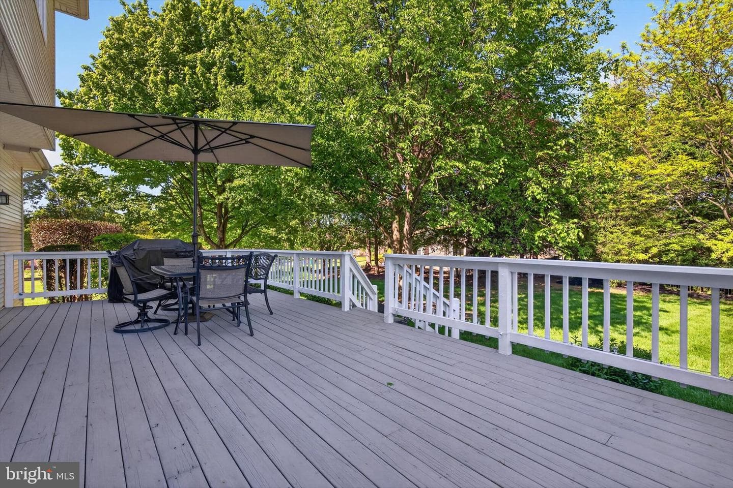 1624 Saddle Lane photo 38