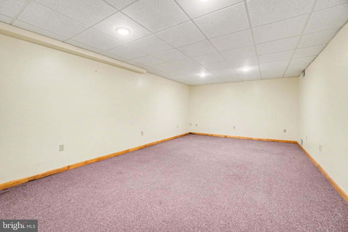 2656 Ellendale Road photo 16