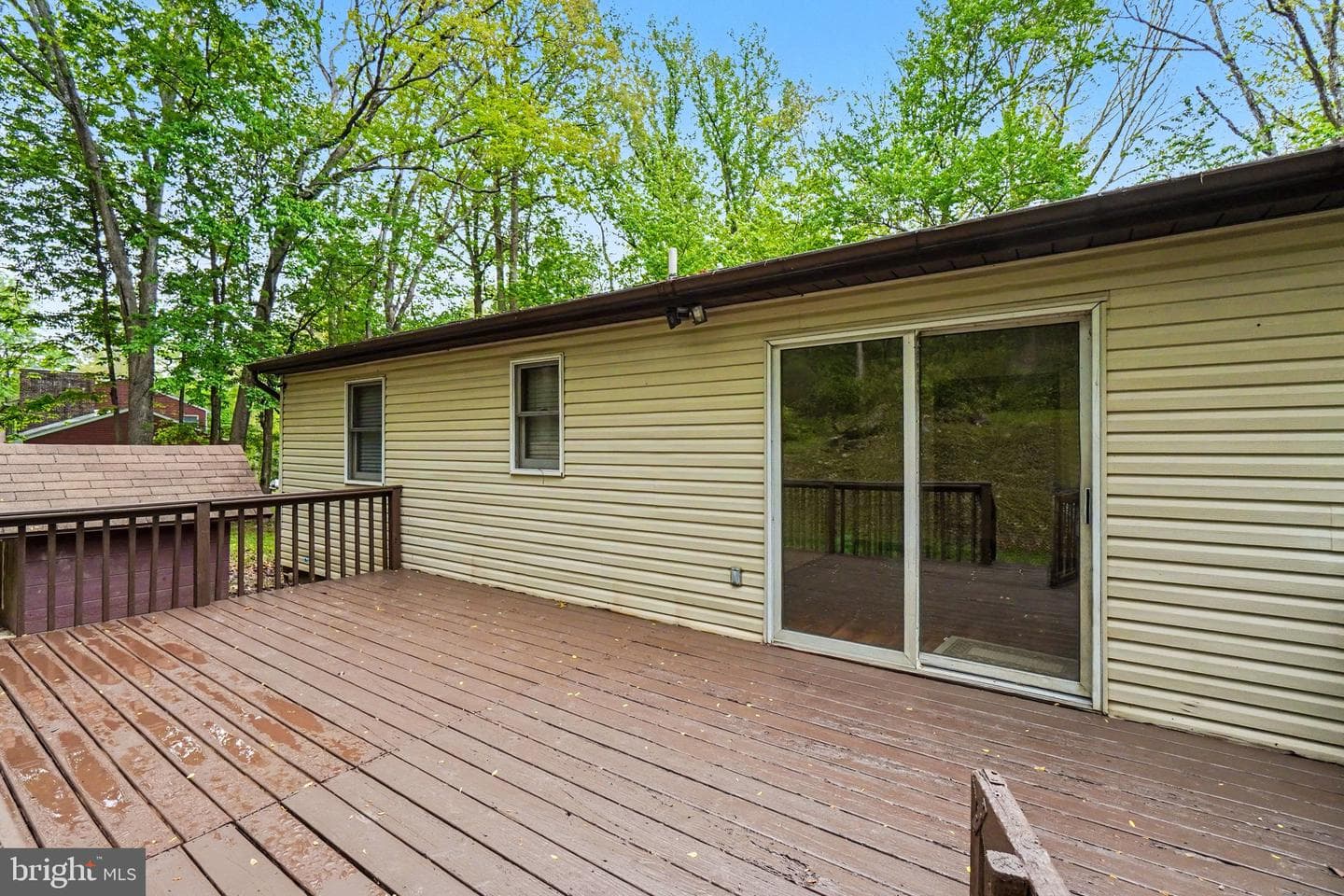 2656 Ellendale Road photo 29