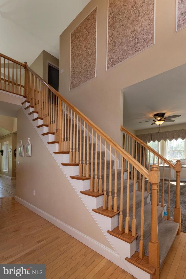 114 Crabapple Court photo 19