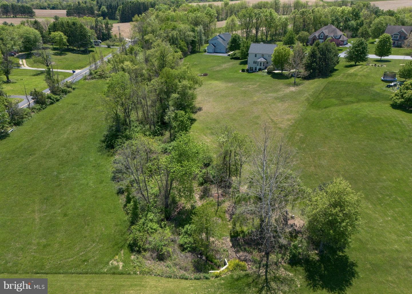 114 Crabapple Court photo 71