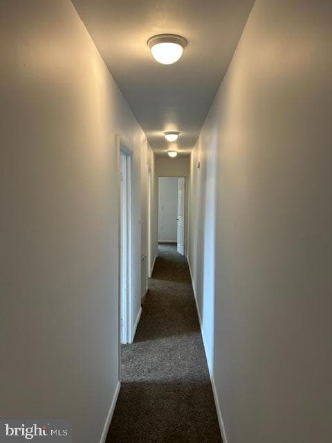 226 Mulberry Street photo 9