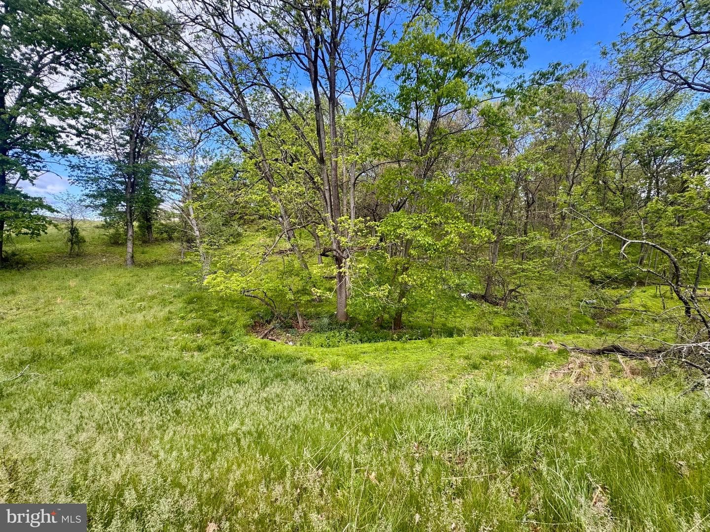 2228 Kohn Road photo 35