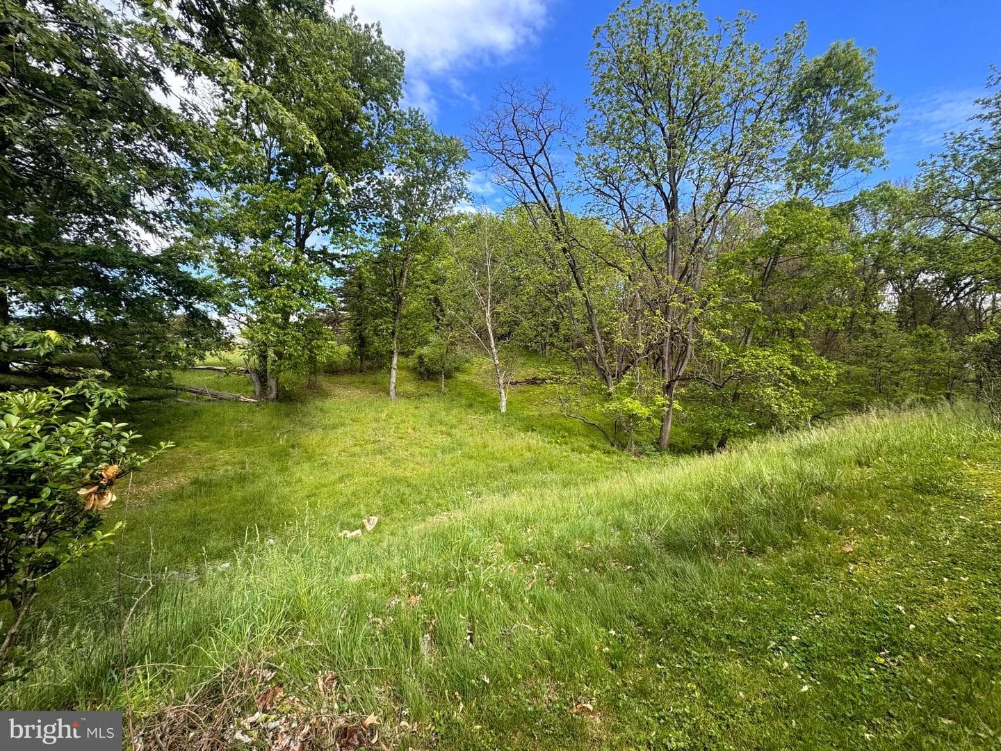 2228 Kohn Road photo 4