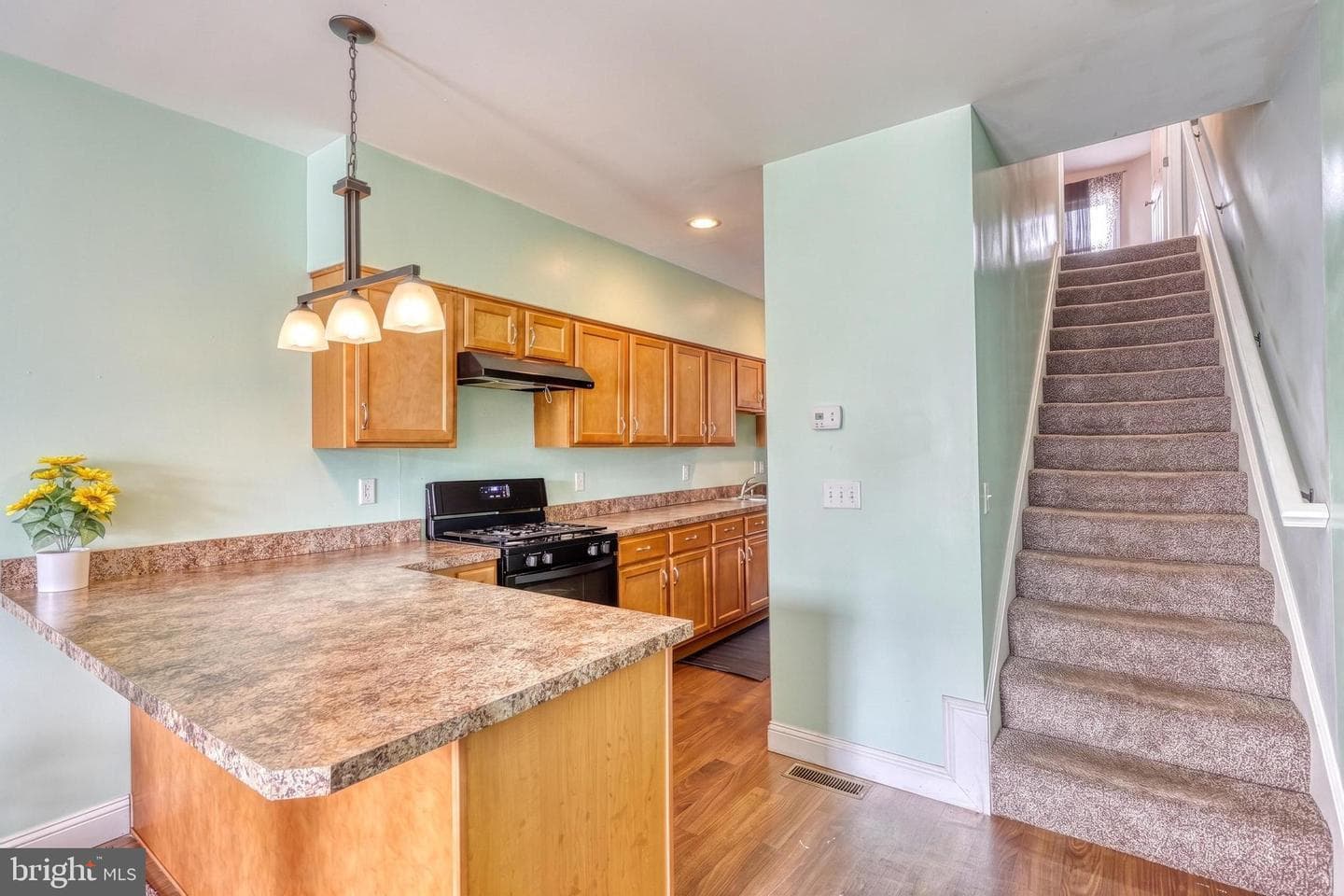 237 Hummel Street photo 13