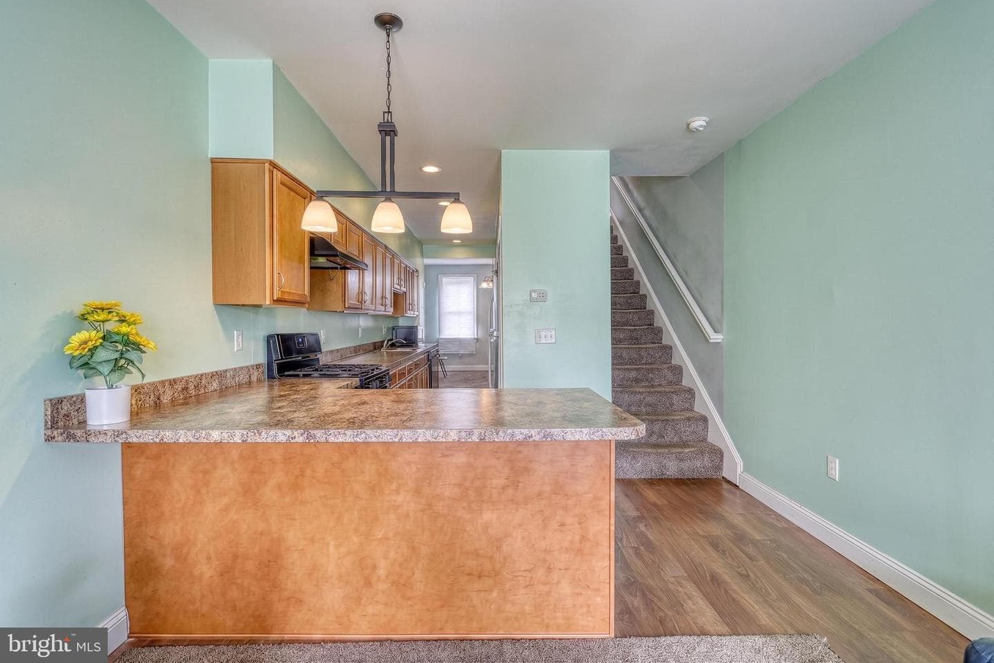 237 Hummel Street photo 6