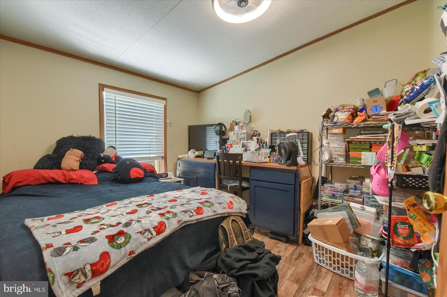 320 Caravan Ct photo 20
