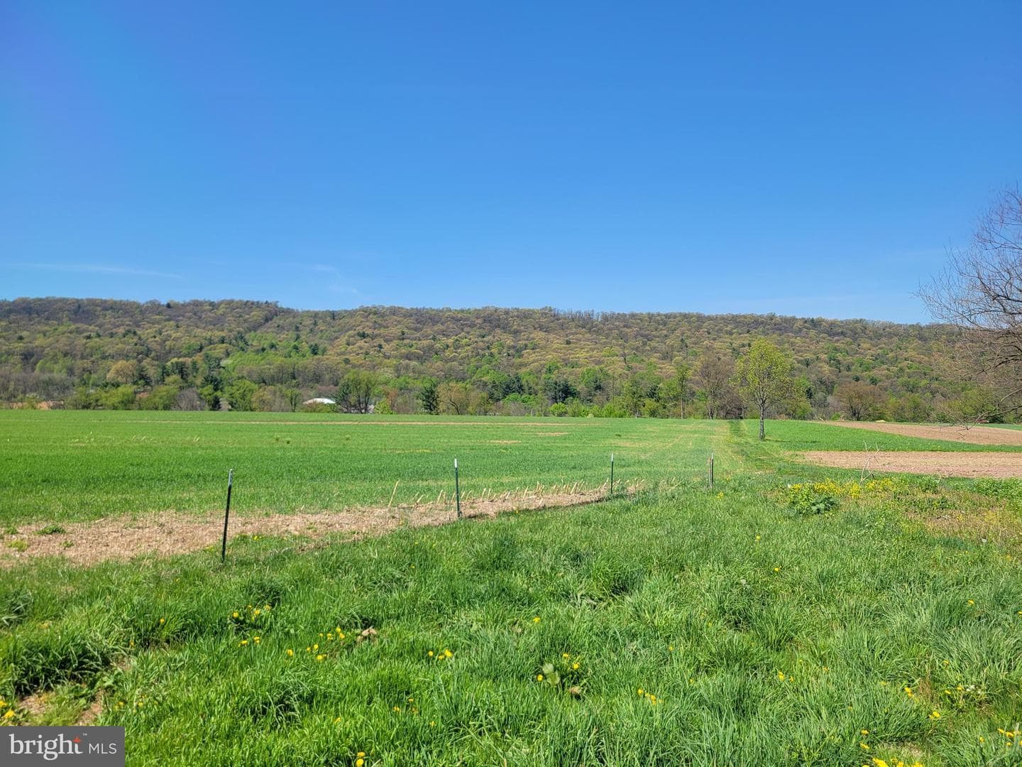 0 Rt.225 photo 3