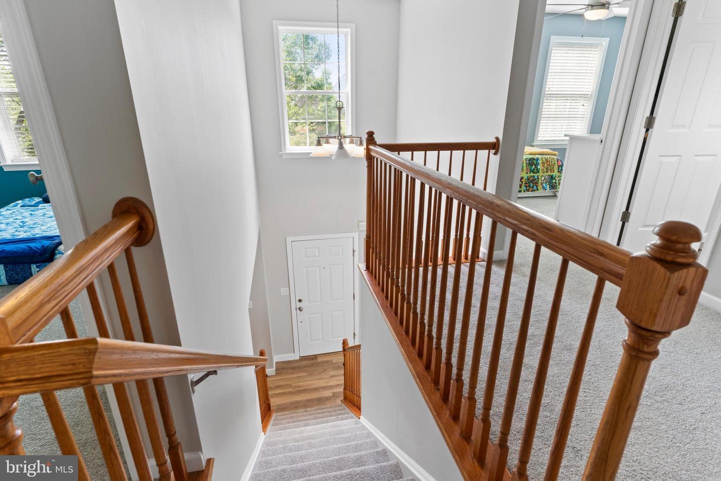 1805 Boxwood Cove photo 38