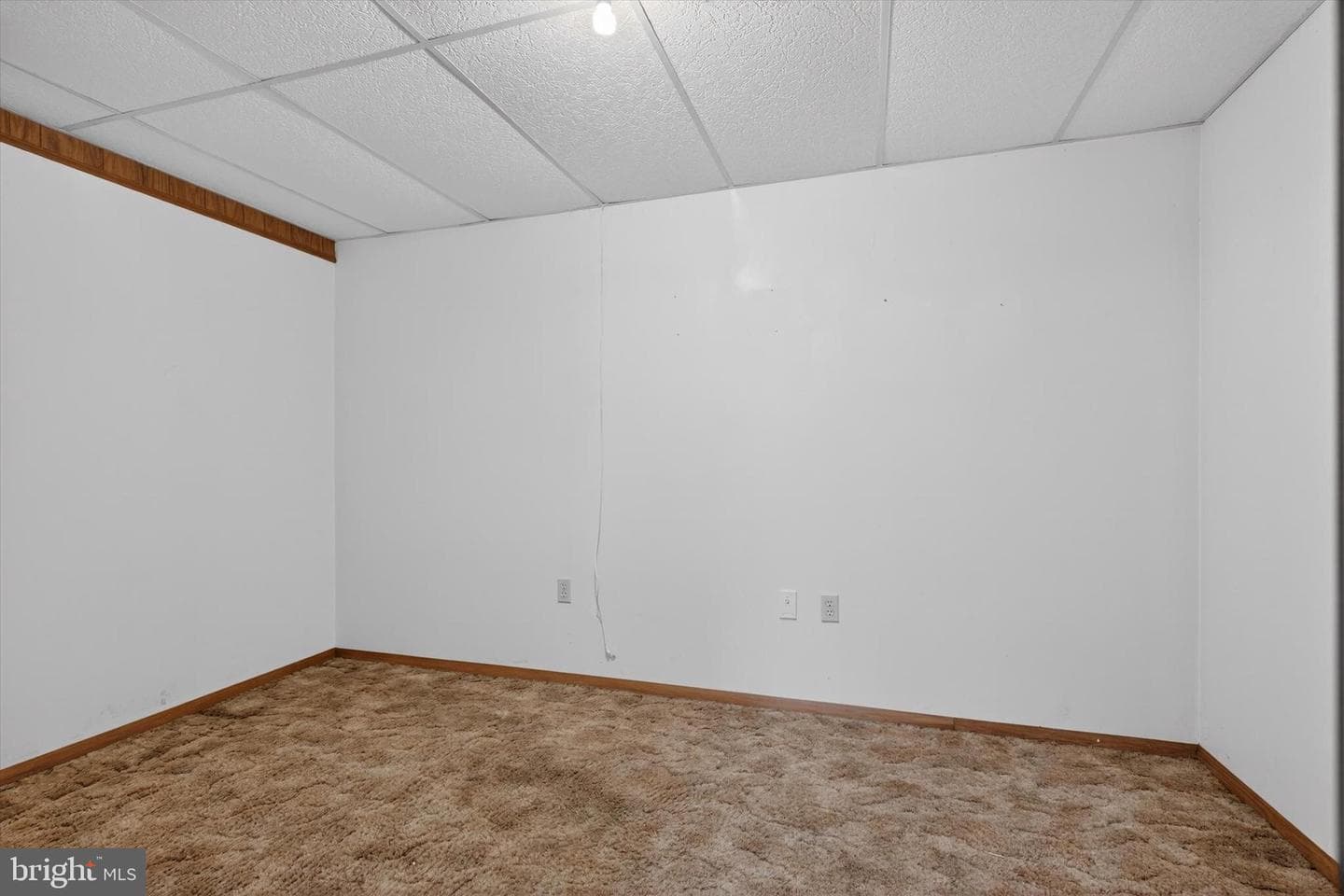 1441 Haney Drive photo 23