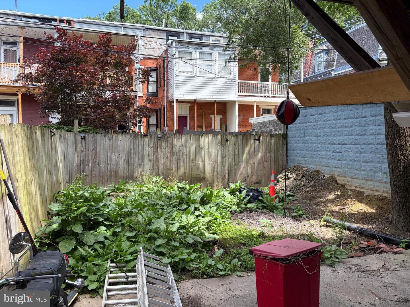 1715 Green Street photo 6