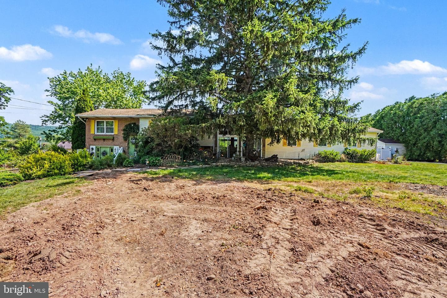 33 Williams Street photo 43
