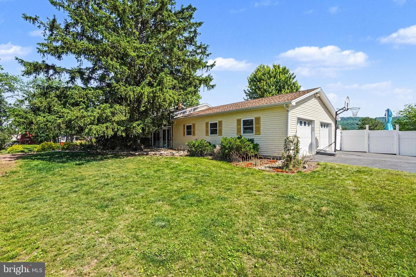 33 Williams Street photo 48