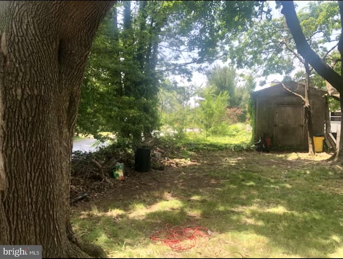 317 Fox Street photo 14