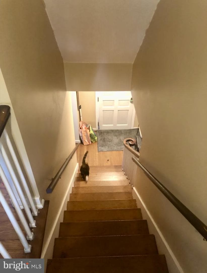 317 Fox Street photo 20