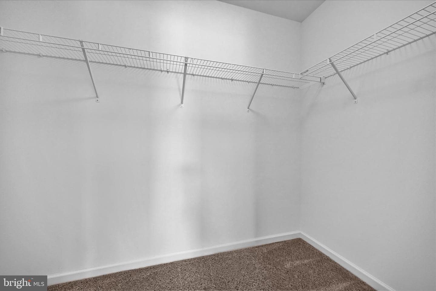 8101 Carl Williams Boulevard photo 22