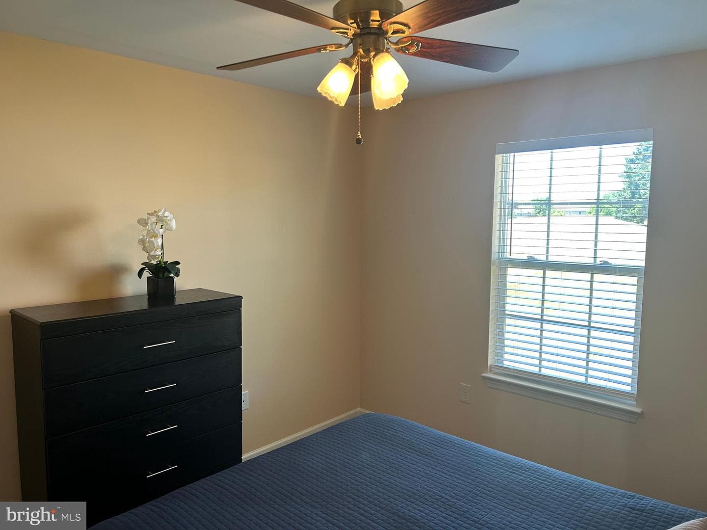270 Buckley Drive photo 38
