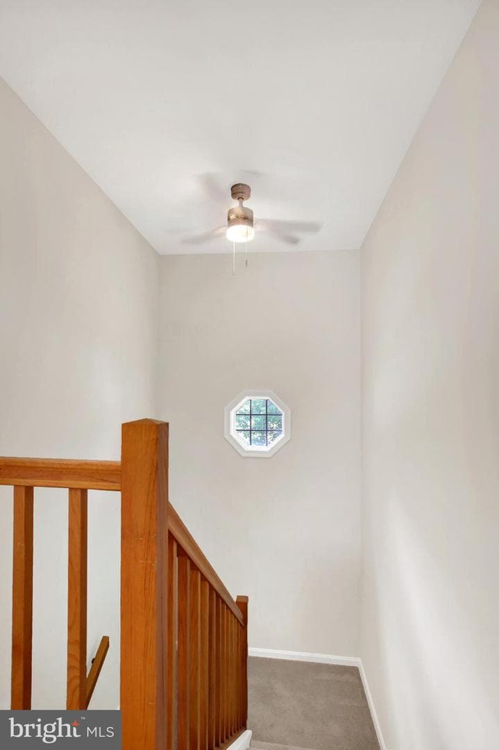 1807 Wexford Road photo 23