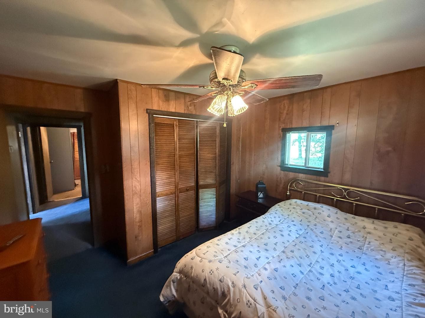 49 Beech Island photo 15