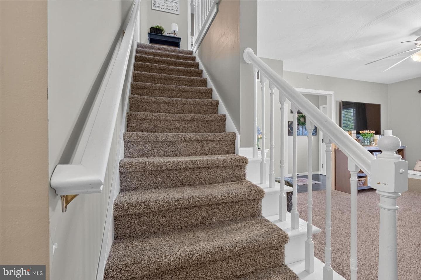 325 Shoop Lane photo 22