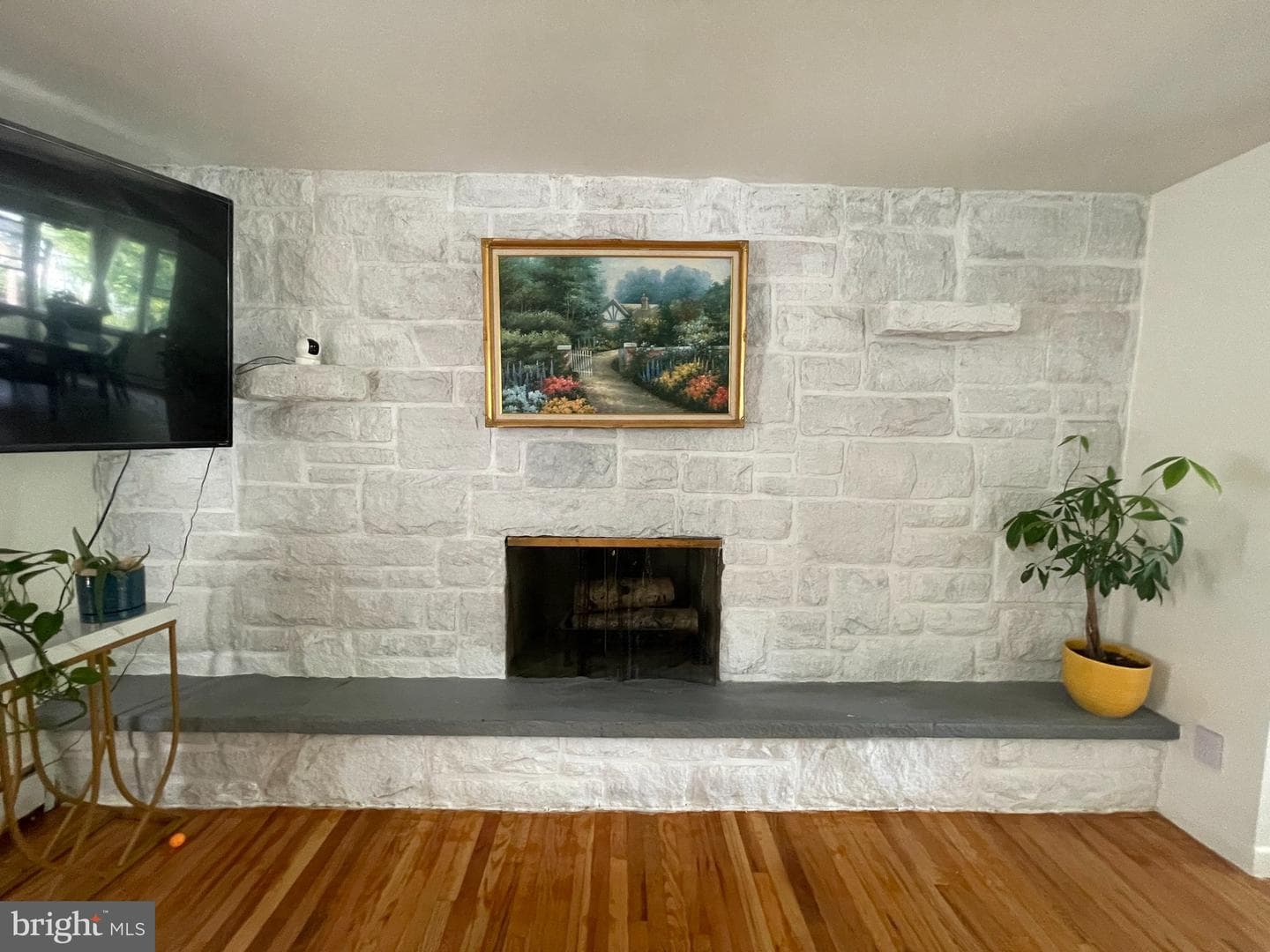 508 Alden Street photo 9