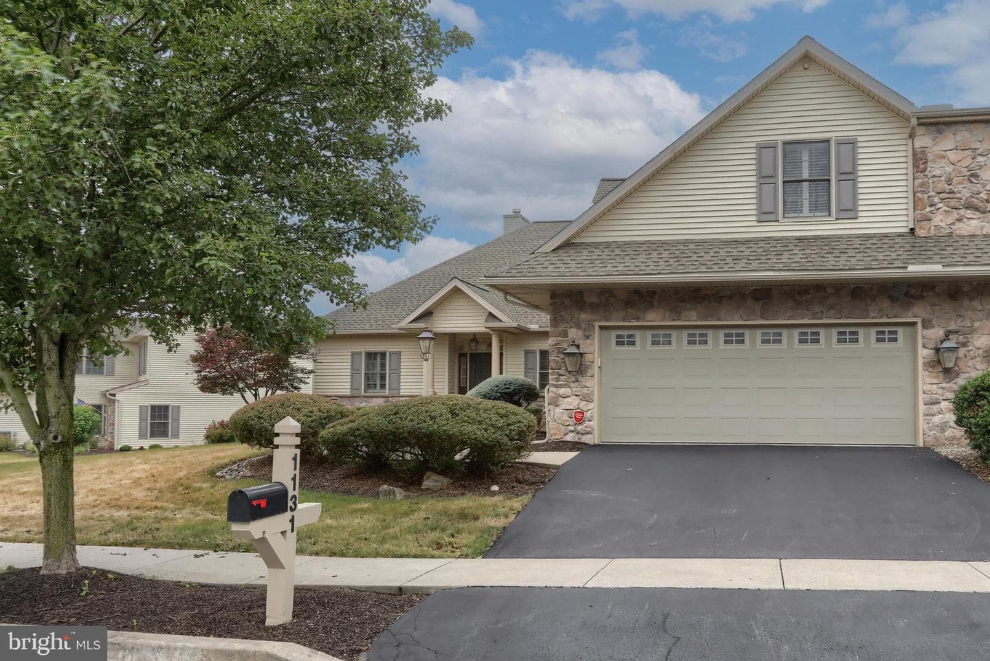 1131 Cord Drive photo 4