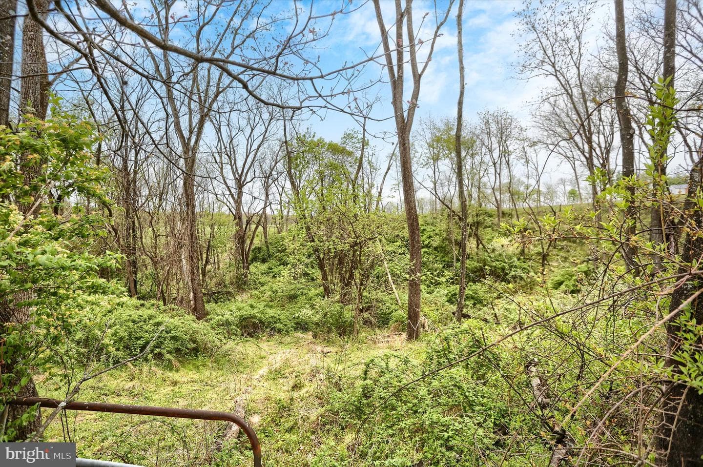 59 Hillymede Road photo 36