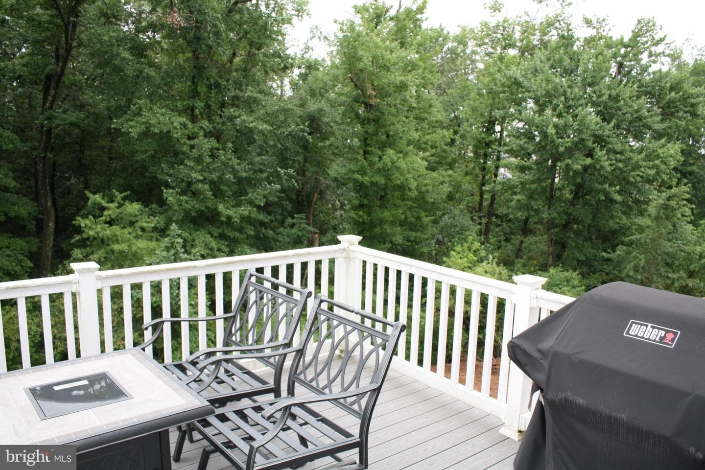 7204 Hidden Meadow Lane photo 10