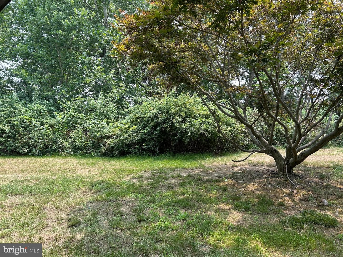 6262 Spring Knoll Drive photo 32