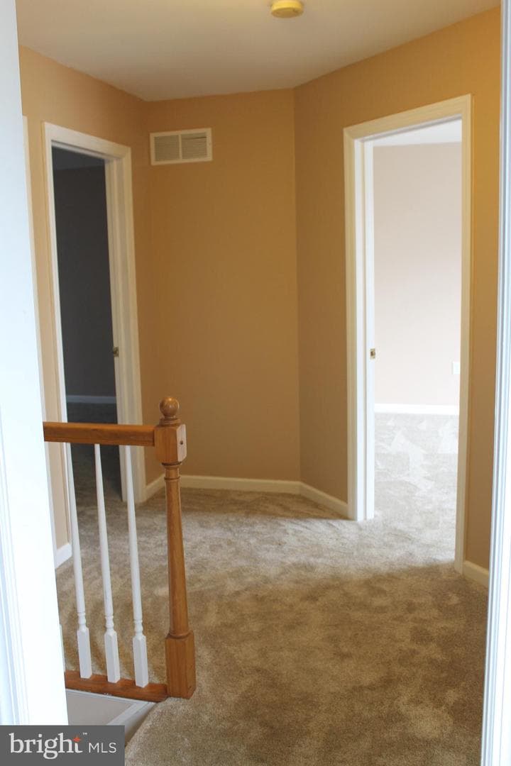 115 Doreen Drive photo 39