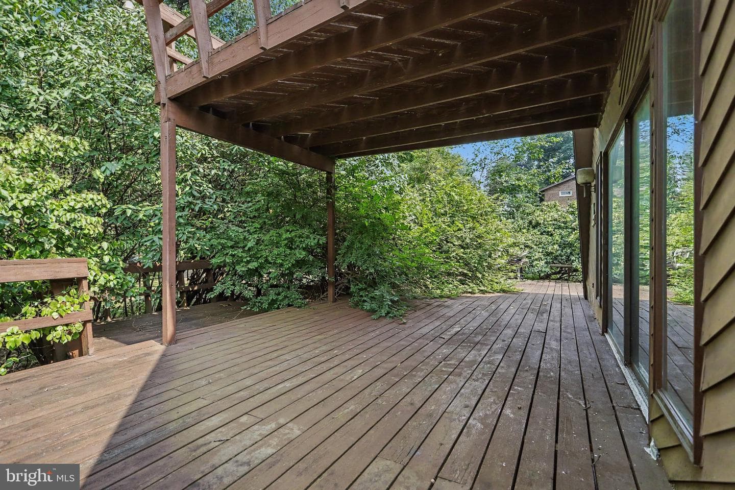 299 Mushroom Hill Road photo 24