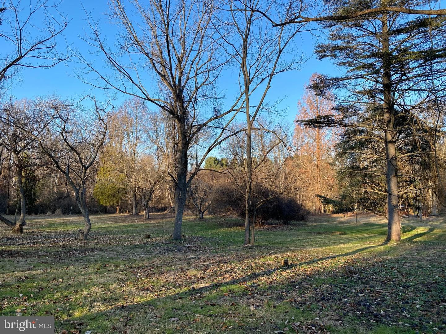 257 Glen Mills Road #b photo 11