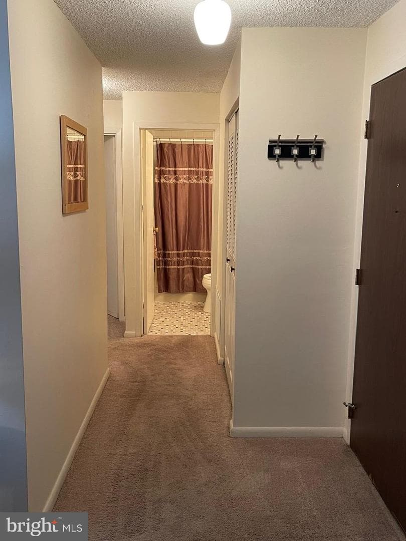 501 N Providence Road #321 photo 13