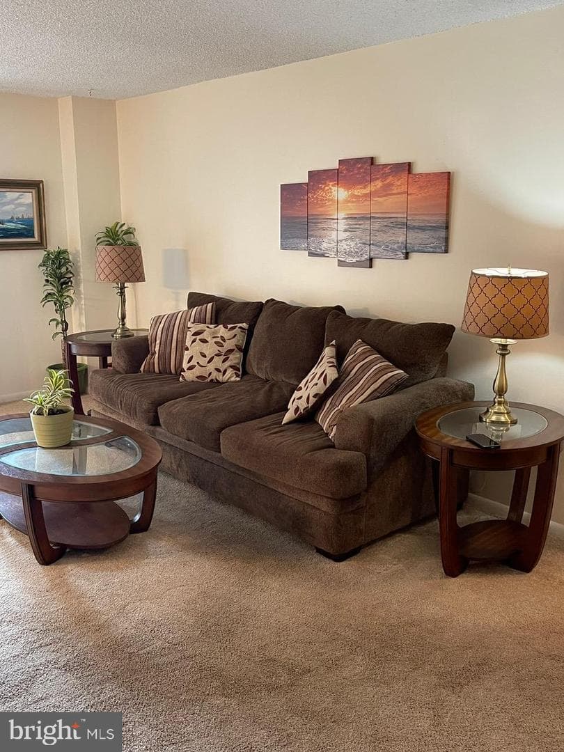 501 N Providence Road #321 photo 9