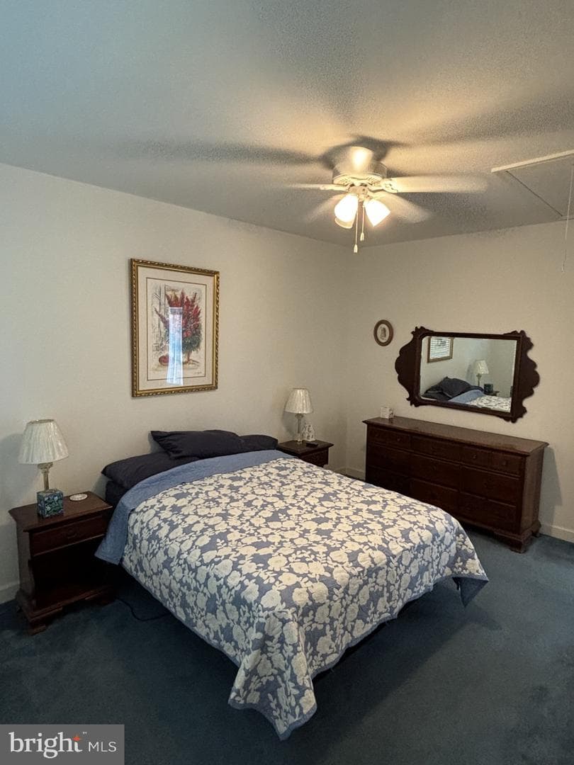 4848 Shepherd Street photo 18