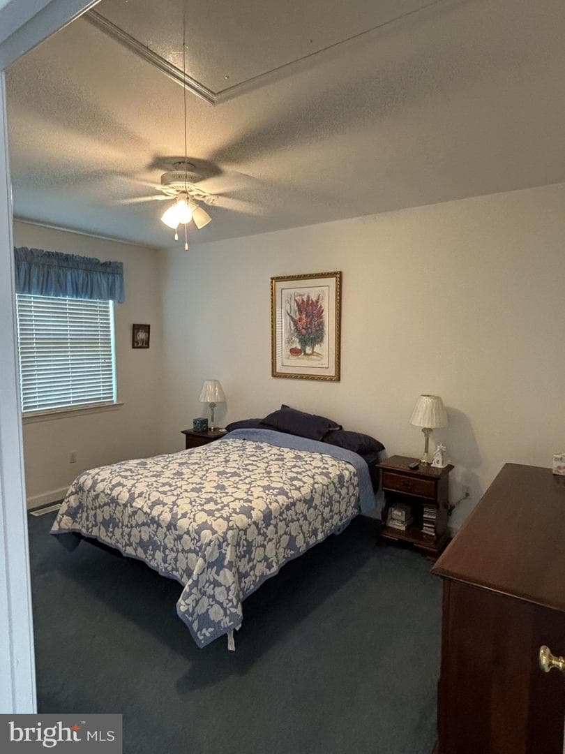 4848 Shepherd Street photo 19