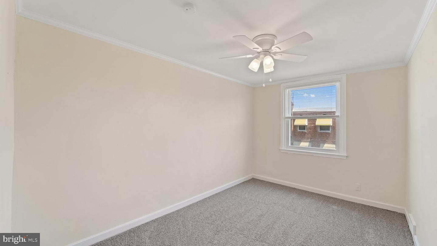 27 King Avenue photo 14