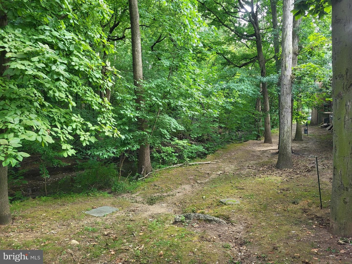 100 E Glenolden Avenue #E-16 photo 31