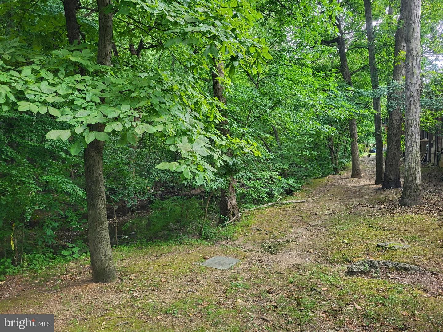 100 E Glenolden Avenue #E-16 photo 34