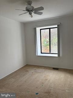 7417 Hilltop Drive photo 21