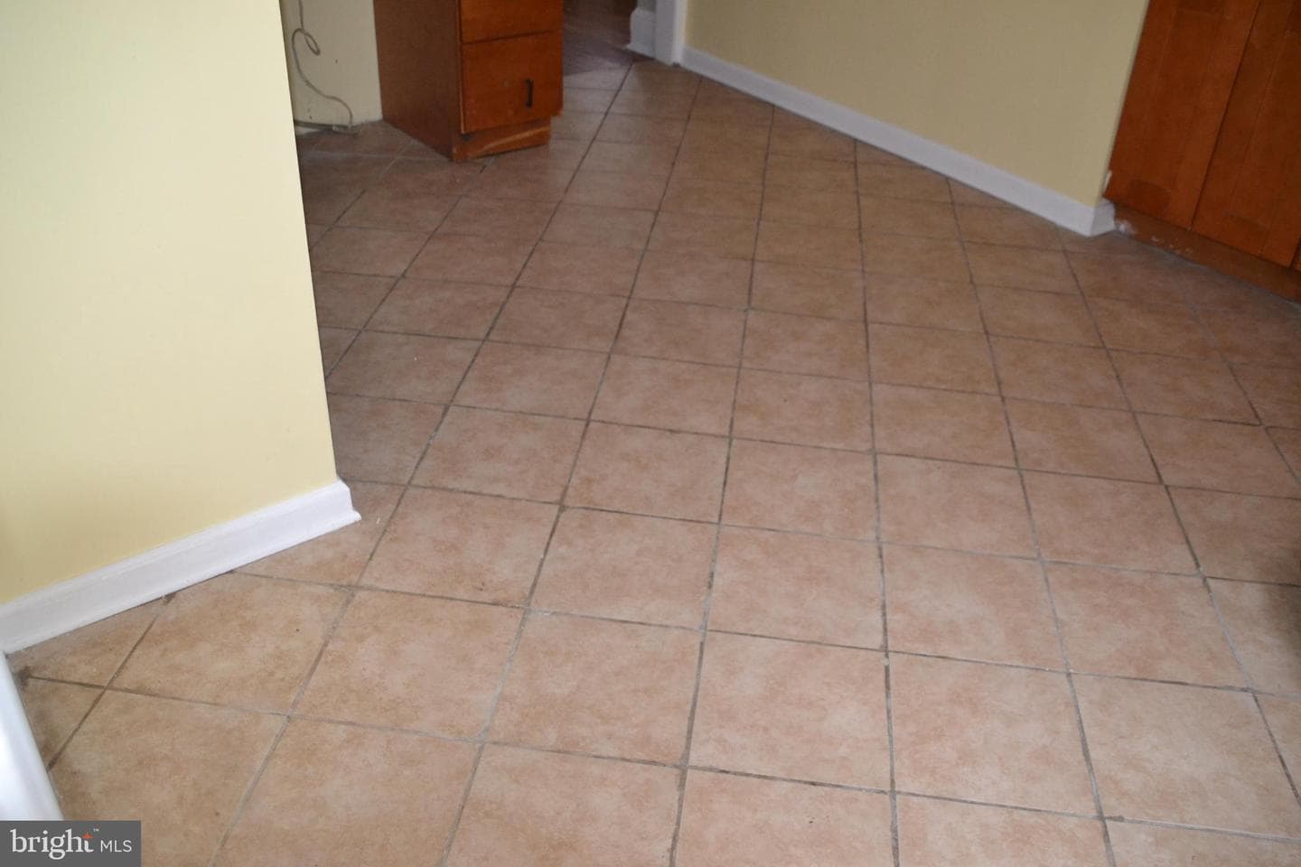 234 Lewis Avenue photo 18