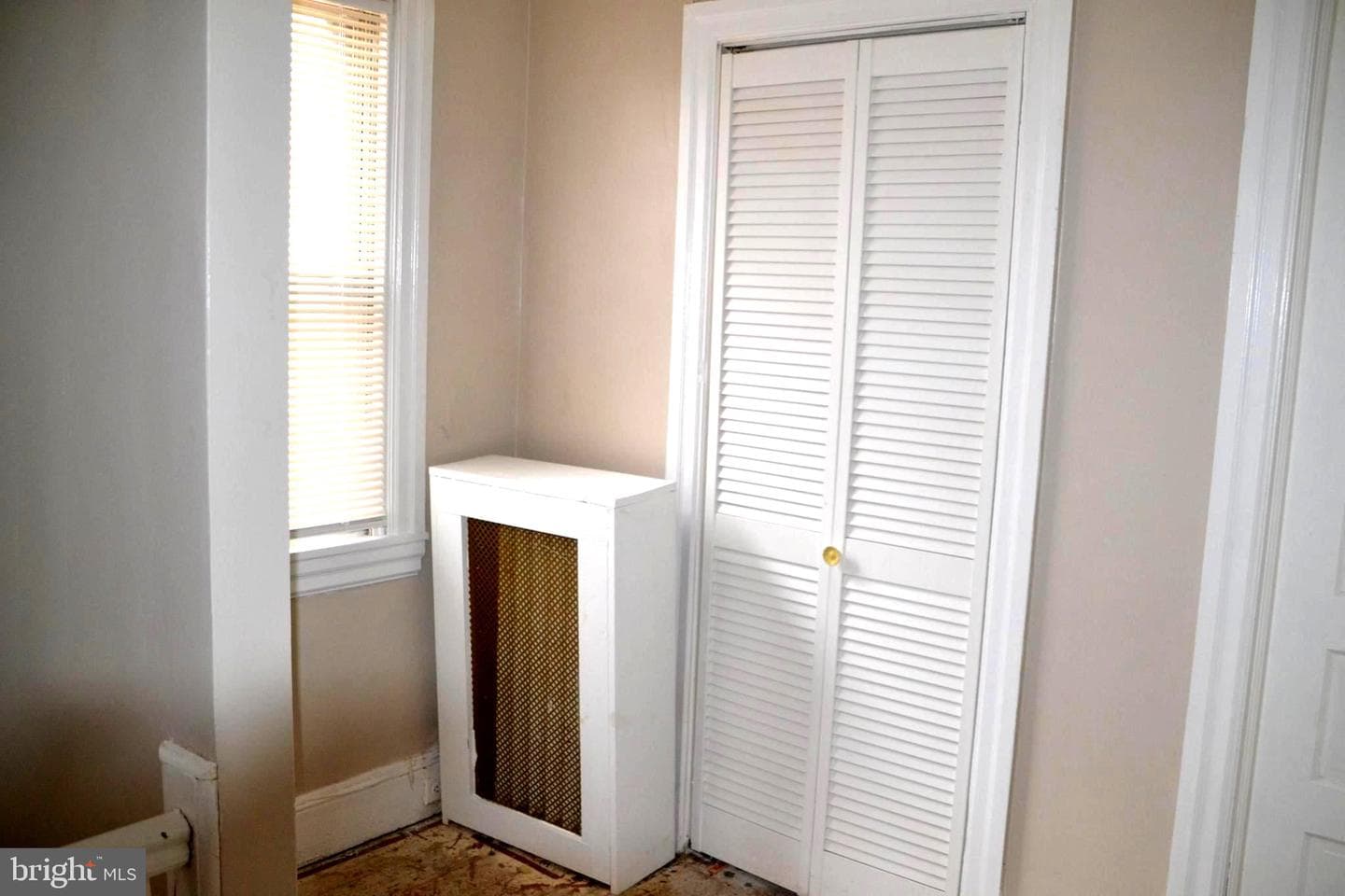 234 Lewis Avenue photo 29
