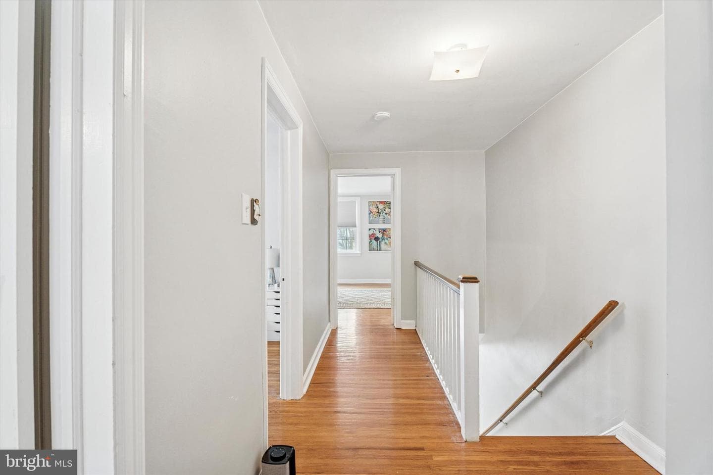 207 Fitzwilliams Road photo 12