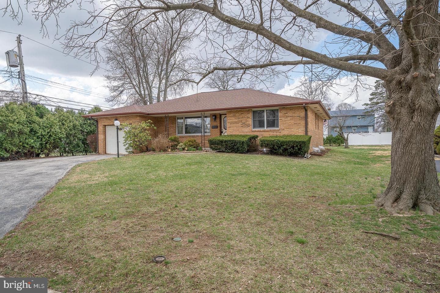 819 Rose Avenue photo 3