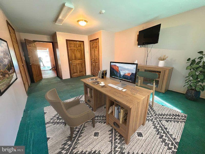 6 Stephen Drive photo 17
