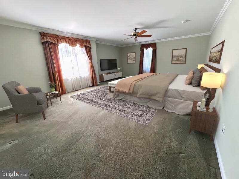6 Stephen Drive photo 25