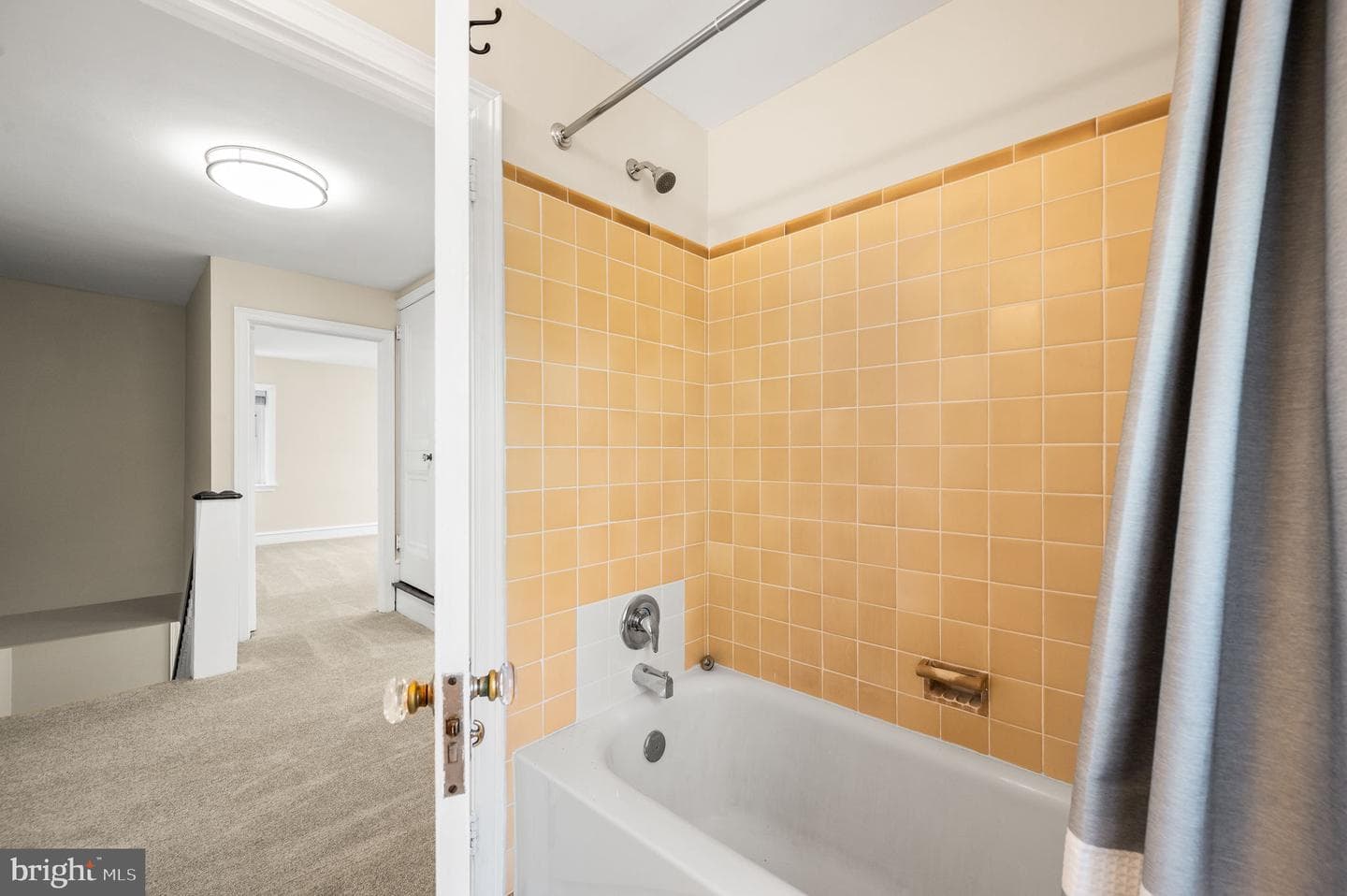 1029 Cornell Avenue photo 22